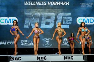 WELLNESS НОВИЧКИ